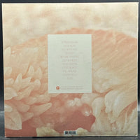 Toro Y Moi - Underneath The Pine