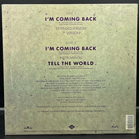 Vanessa Bell Armstrong - I'm Coming Back (Single)